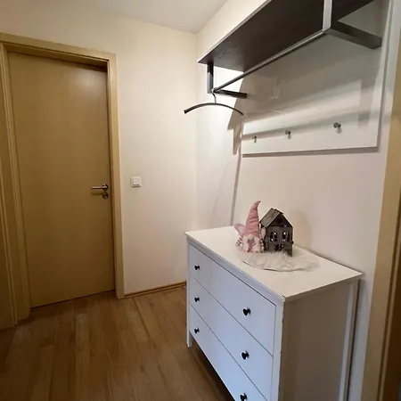 Haflinger Hof Detig Dipperz