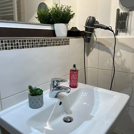 Haflinger Hof Detig Dipperz