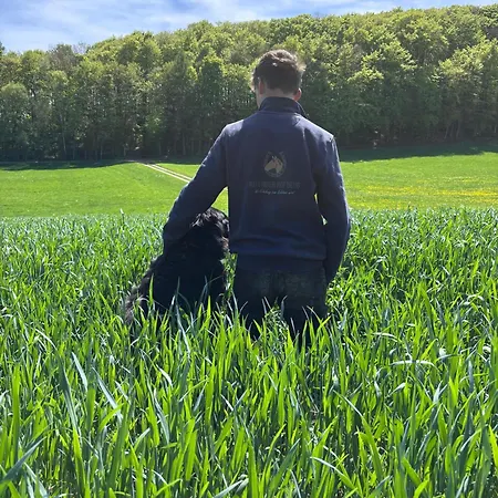 Haflinger Hof Detig Apartamento