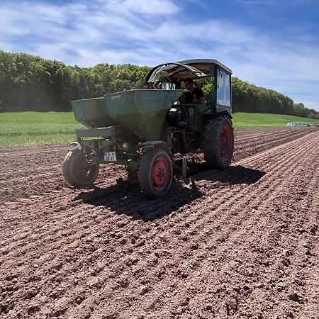 Haflinger Hof Detig * Dipperz