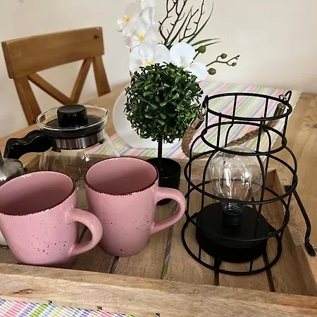 Haflinger Hof Detig Dipperz