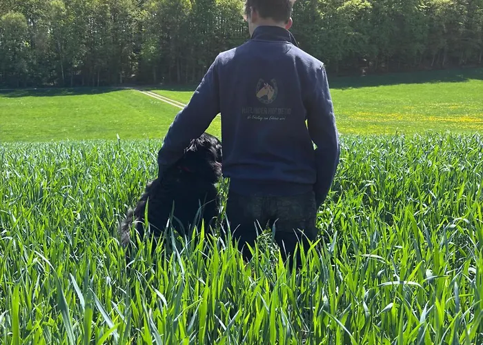 Haflinger Hof Detig Apartmán