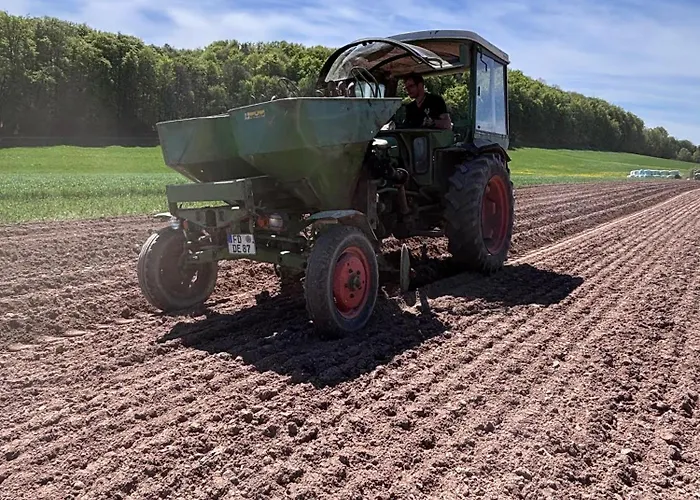 Haflinger Hof Detig * Dipperz