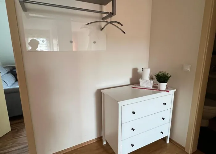 Haflinger Hof Detig Dipperz