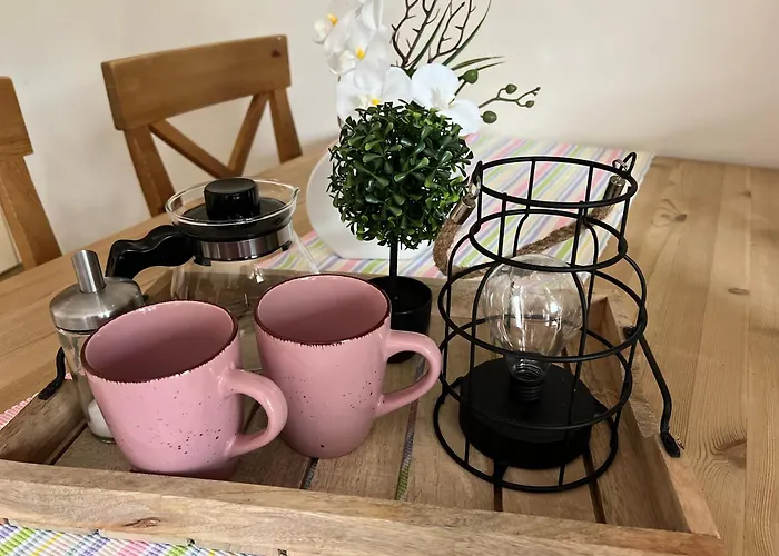 Haflinger Hof Detig Dipperz