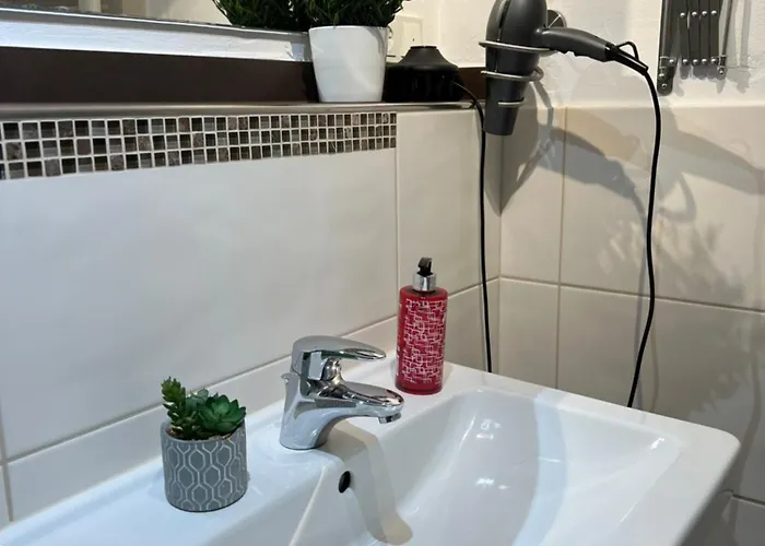 Haflinger Hof Detig Dipperz